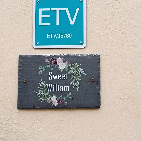 Sweet William Villa S'Arraco Exterior photo